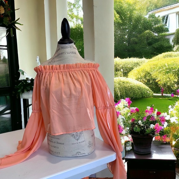 Feel beautiful in this romantic ruffled semi-sheer and feminine peach blouse - Picture 14 of 16